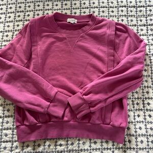 Everlane Pink Sweatshirt